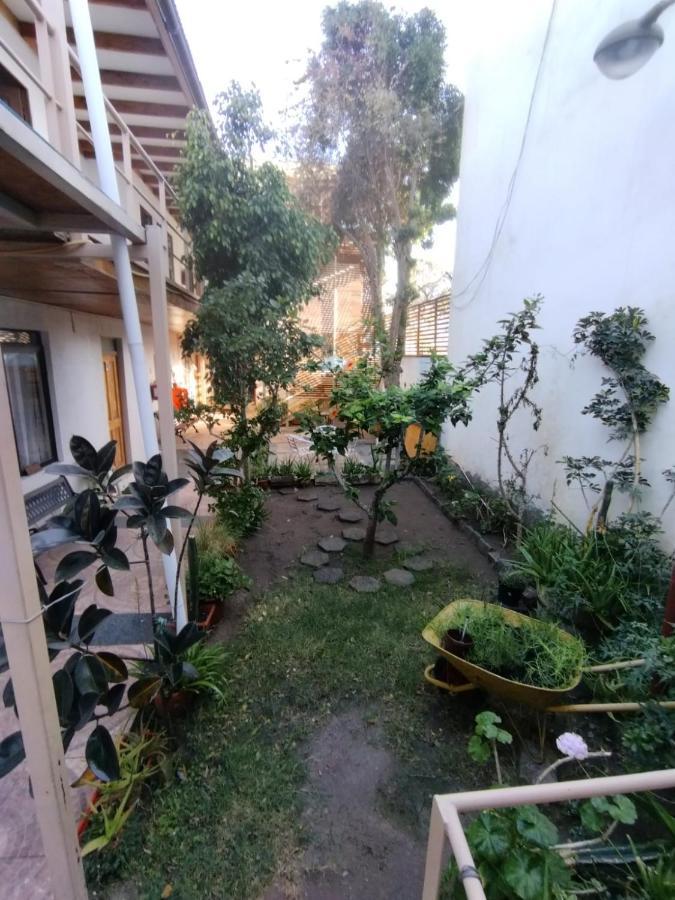 Amaru Hotel Copiapó Dış mekan fotoğraf